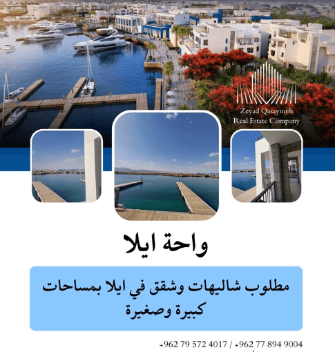 مطلوب شقة اوشالية في ايلا wanted an apartment in AYAL RESORT AQABA